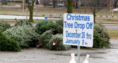 Christmas Tree dropoff copy
